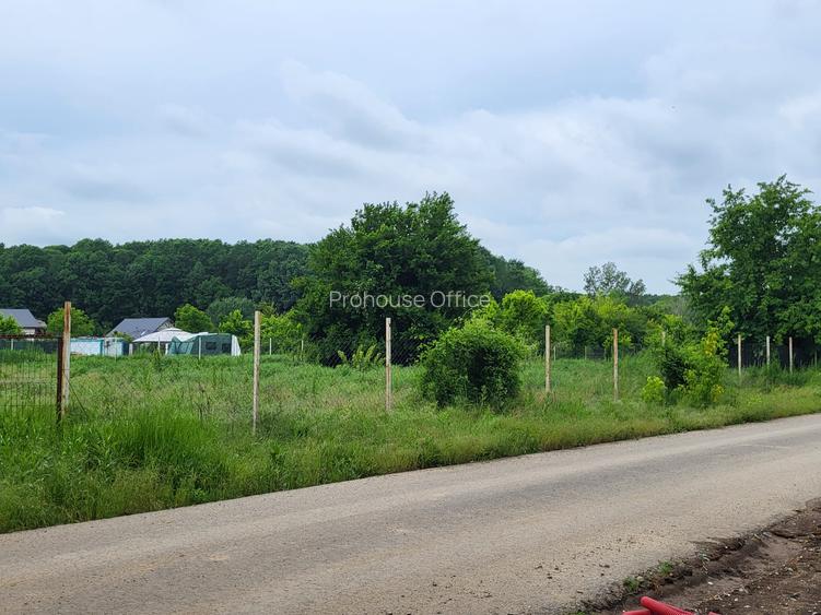 Teren Snagov – frumusețea calmă a lacului și liniștea pădurii. - 8