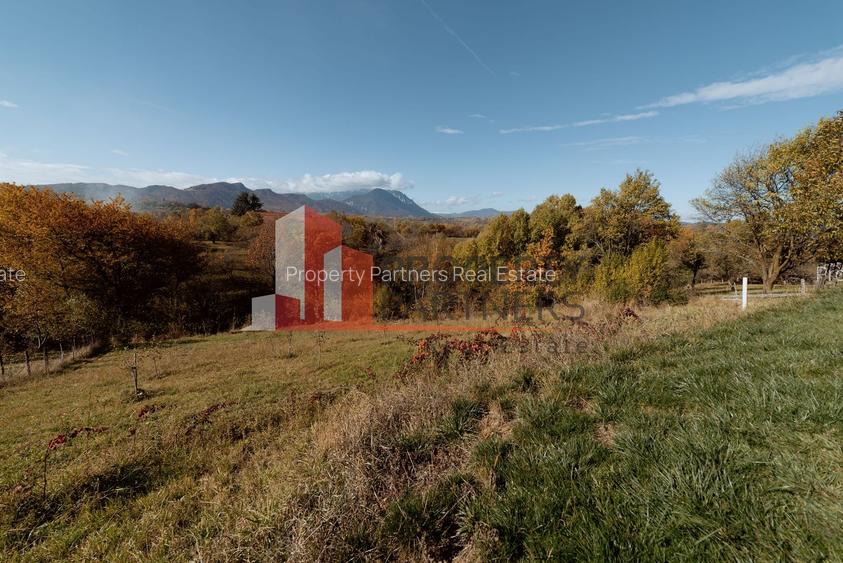 Casa de vacanta Bran -  Sohodol - 20