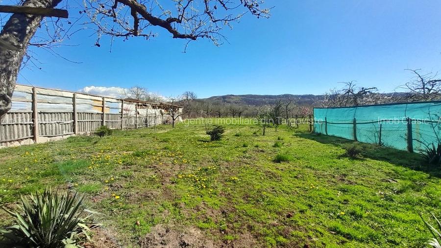 Vanzare proprietate - casa si teren  Voinesti Dambovita - 9