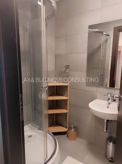 Aviatiei/UpGround,PRIMA INCHIRIERE,mobilat/utilat,centrala termica,parcare,2 bai - 8