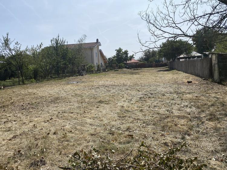 Particular Izvorani Intravilan - 12