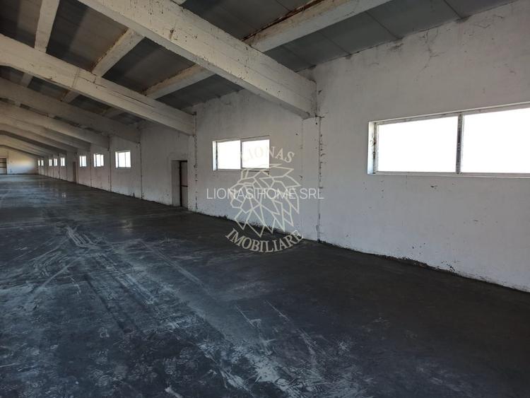2 Hale 1000 mp si 900 mp-teren 3400 mp-oportunitate-Livezile - 2