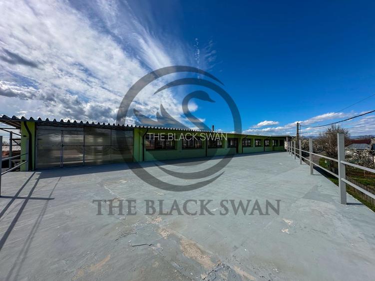 Spațiu/Hala de inchiriat | 800 mpu | Magurele - Prahova | Comision 0% - 9