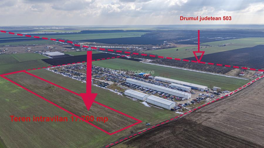 Teren intravilan Belciugatele*300 m de DN*Linie de tensiune medie*Plata in rate - 2