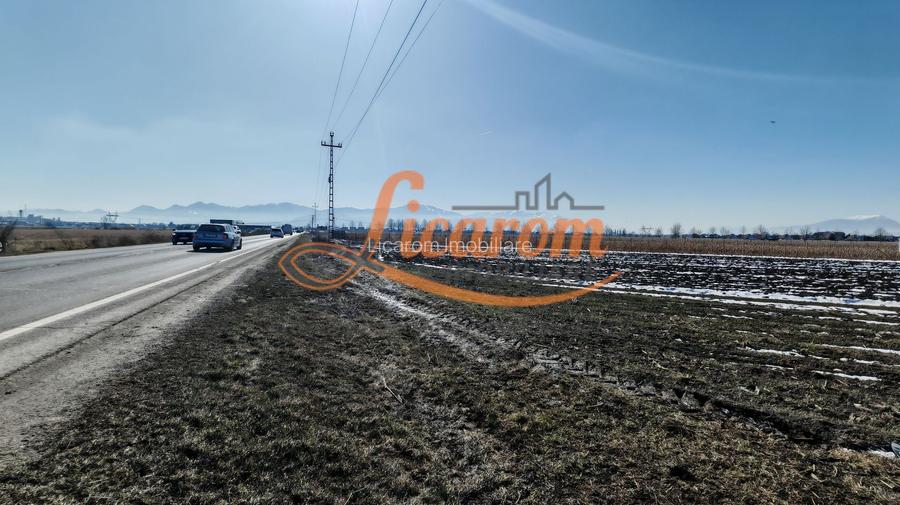 Teren Stupini Calea Feldioarei 11800 mp,25 euro/mp, front asfalt-DN13 - 6