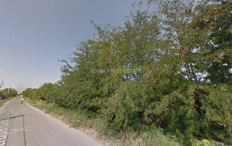 Teren intravilan Snagov pozitionat vizavi de centrul hipic Arcadia! - 10