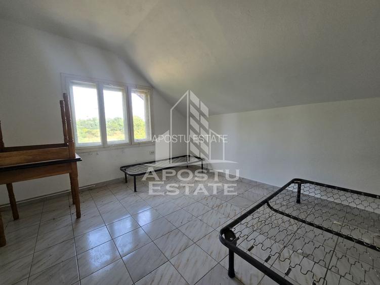 Casa de vanzare, potential pensiune, pe malul Timisului,Sag,comision 0 - 10