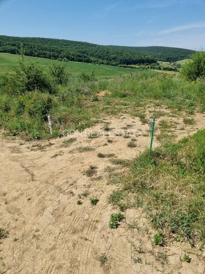 REPREZENATRE EXCLUSIVĂ! Teren intravilan construcții, zonă superbă, Livezeni. - 5