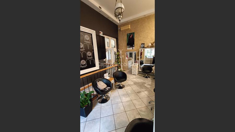 Spatiu comercial situat ultracentral, comision 0% - 13