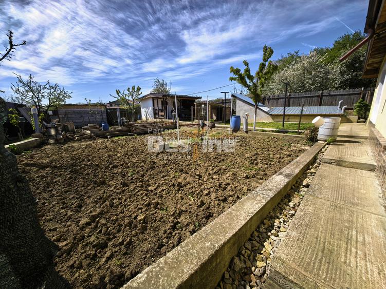 Casă 4 camere plan parter cu beci și anexe + 720 mp curte - 18