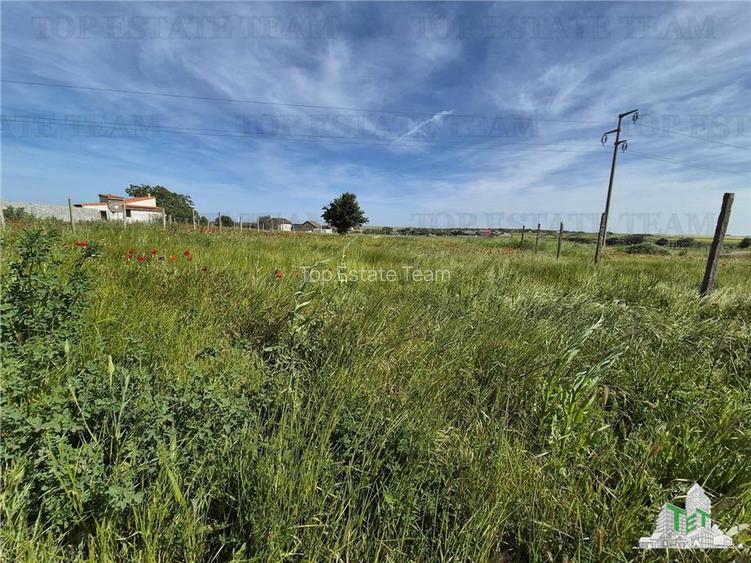 Teren intravilan Techirghiol - 3