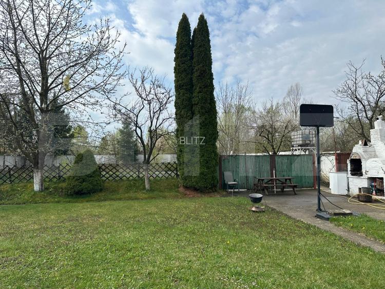 Investitie: Casa cu teren constructii si pastravarie - Prejmer, Brasov - 7