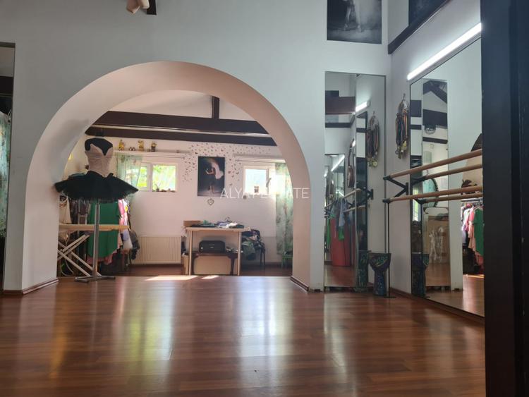 Vila Multifunctionala investitie - zona Basarabia / Arena Nationala - 11