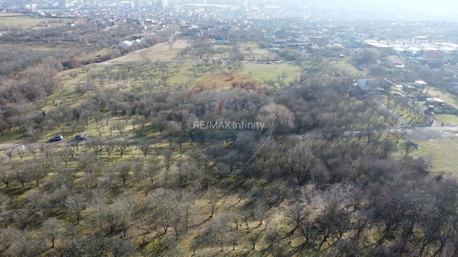 Teren 20.146 mp Dâmbu Rotund (Lomb).Extravilan.Potențial rezidențial - 17