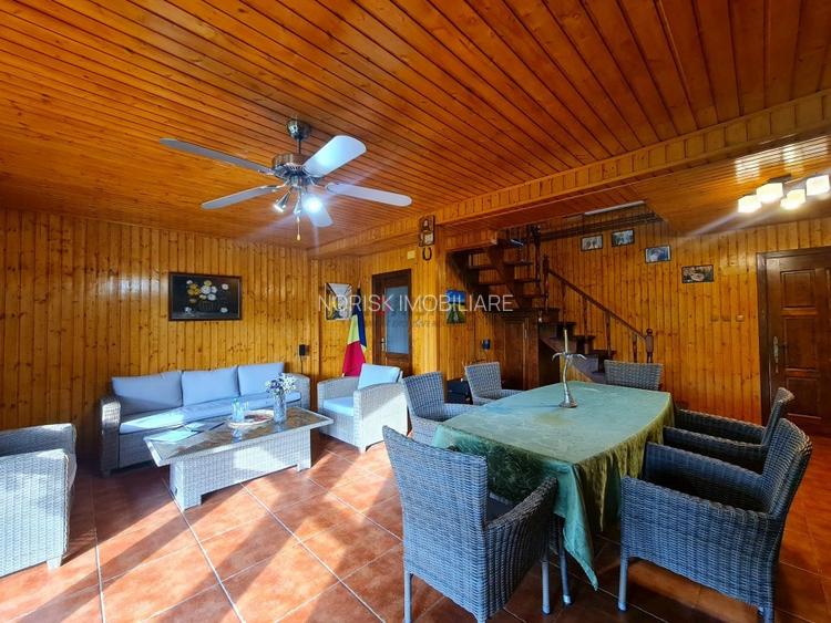 Vila + Afacere 15.000mp Clinceni - 12