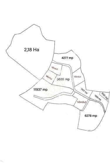 Parcele teren intravilan-ideal hotel/cabana-Colibita, Zona Panoramic - 4