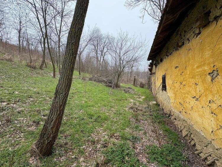 Teren 2.038 mp + Casă 50 mp de vânzare – Sat Luncsoru, Com. Ghercești