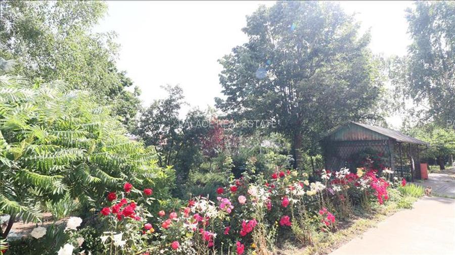 Casa deosebita in V.Lupului - 30