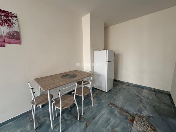 Apartament cu 1 camera Visan - 5