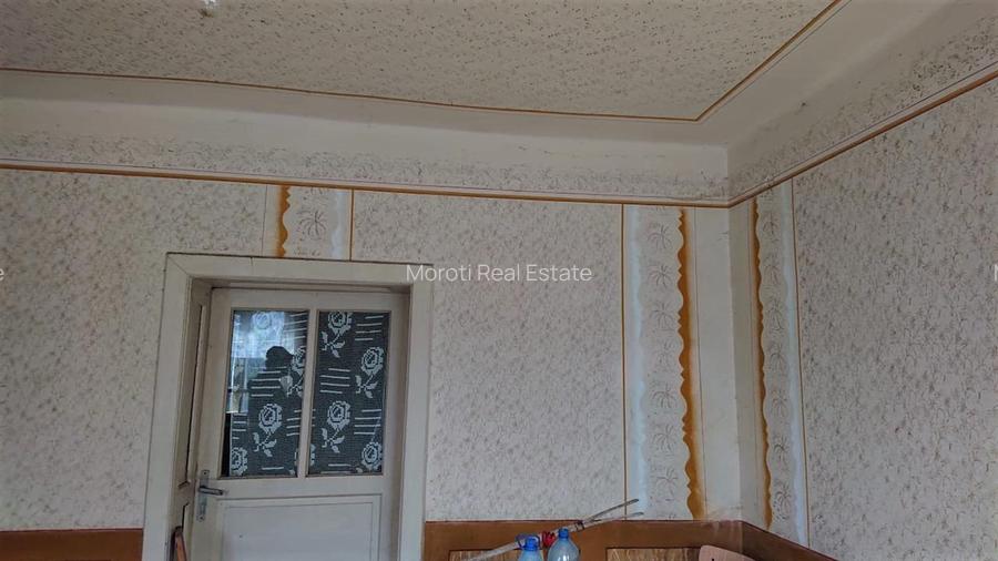 Domeniu de 7 ha in Apuseni - Criscior, Hunedoara - 9