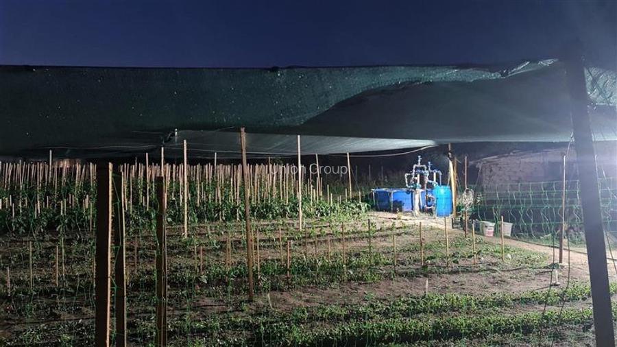 Casa Batraneasca in Topraisar cu Teren de 1711 mp si Deschidere 42 ml - 6