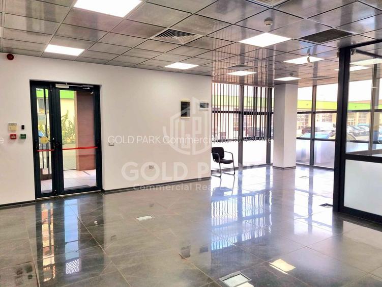 Spatiu de Birouri-Zona Traian Vuia-Parcare/Suprafete de la 50-160 mp - 13