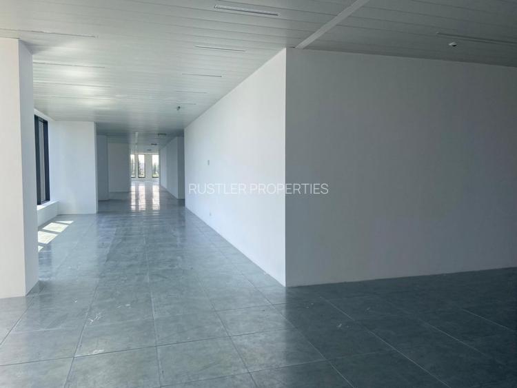 Spații de birou in cladirea @Expo - B1 & B2 - 5