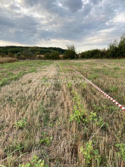 Teren cu vedere la Padure, rate 2-3 ani, 621mp, in zona Paradisul Verde - 11