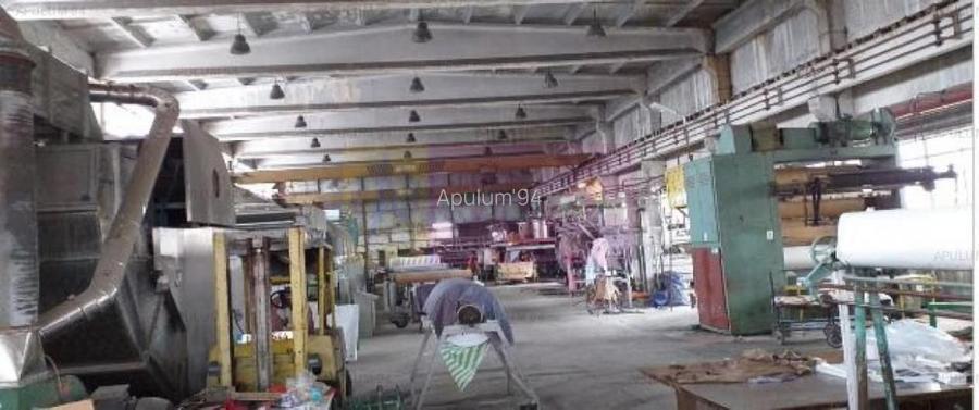 Hala productie 23 August. - 4