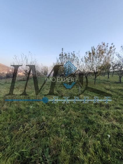 Teren intravilan în Paclisa 1785mp. - 5