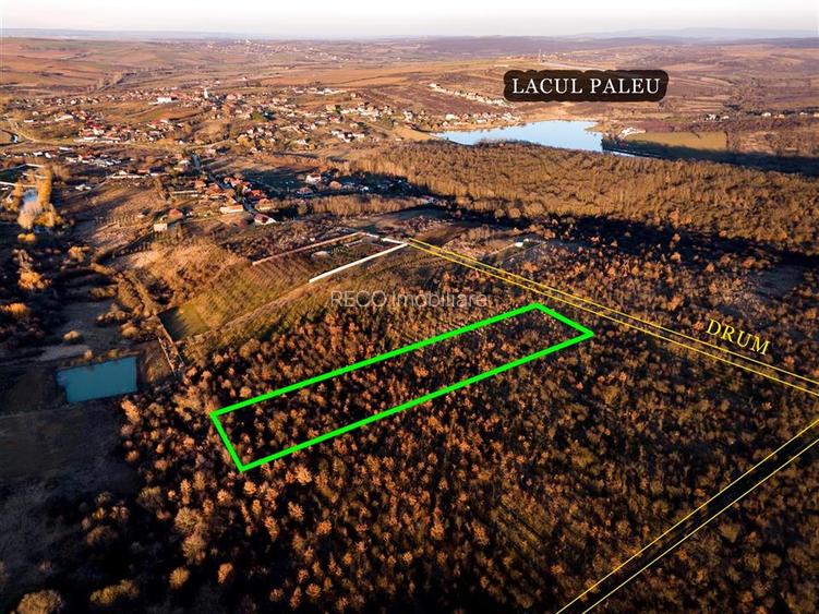 RECO Teren Intravilan 5305mp Paleu - 5