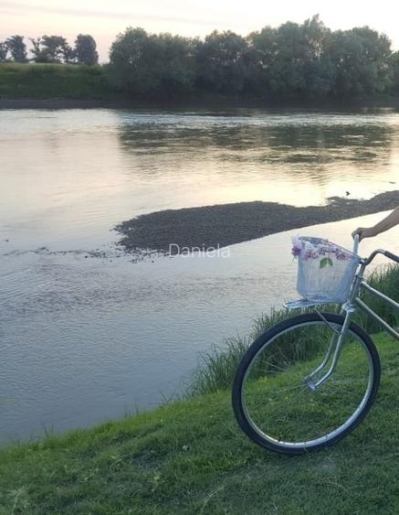 Apartament cu 3 camere de vanzare, etaj 2, - Micalaca - 12