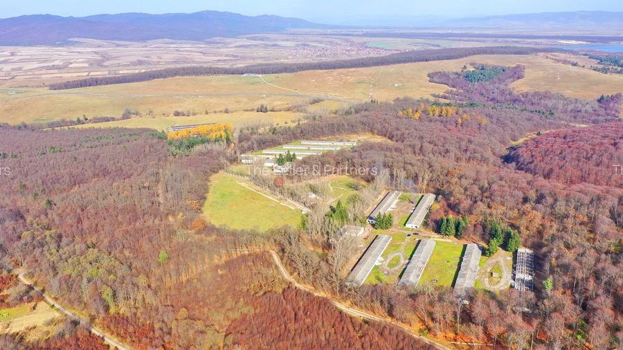 Teren Intravilan - Amplasare Unica - 13