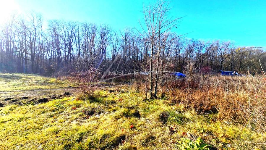 Teren intravilan, 2 fronturi, Drumul Padurea Pustnicu 65 - Greenfield - 7
