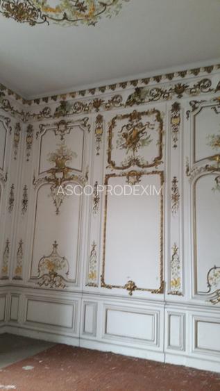 Vila vanzare Ateneul Roman, adiacent Calea Victoriei - 6