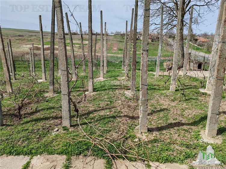 Casa renovata si teren generos Com Pantelimon Constanta - 13