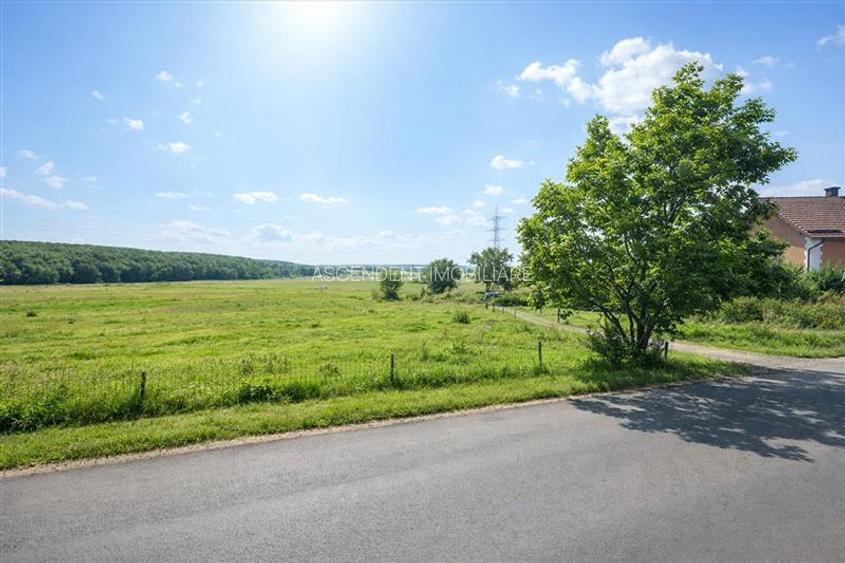 Teren intravilan, pe 5.800 mp, cu vedere frumoasa,in localitatea Reghin - 3