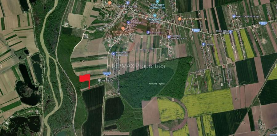 Teren intravilan de vanzare 500 mp, com Domnesti/Teghes - 5