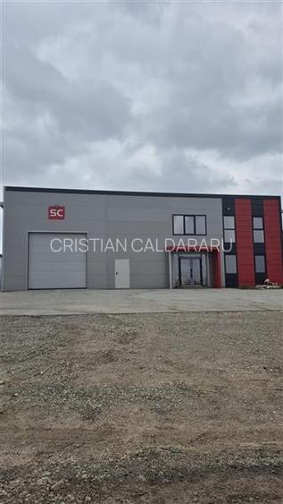 Inchiriere depozit/hala/spatiu industrial Chiajna - Chitila - Rudeni - 4