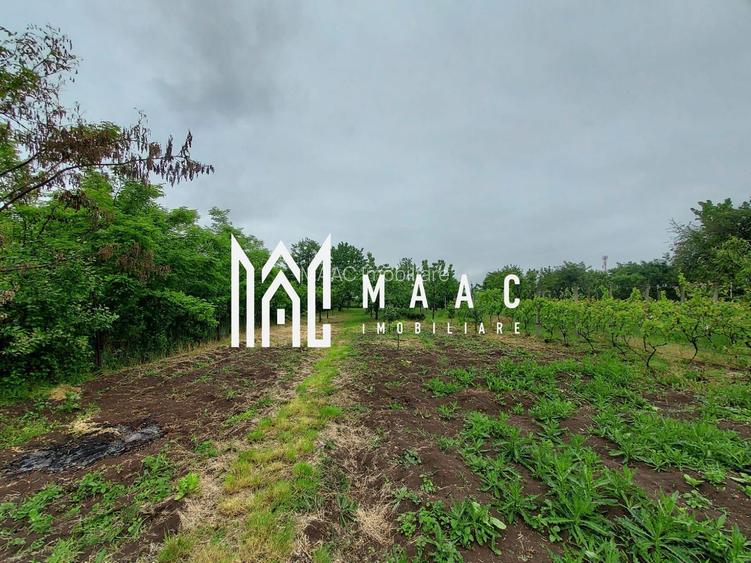 Casa | 1331 mp Teren | Miercurea Sibiului | - 9