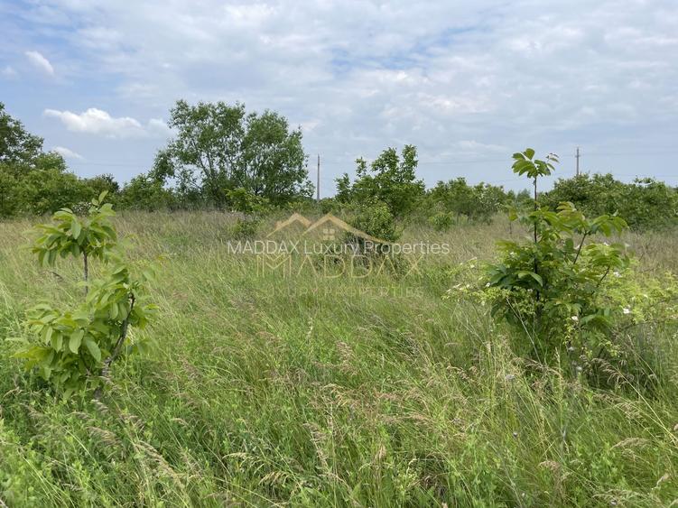 Teren intravilan***1439 mp***Cretesti-Vidra-Ilfov - 17