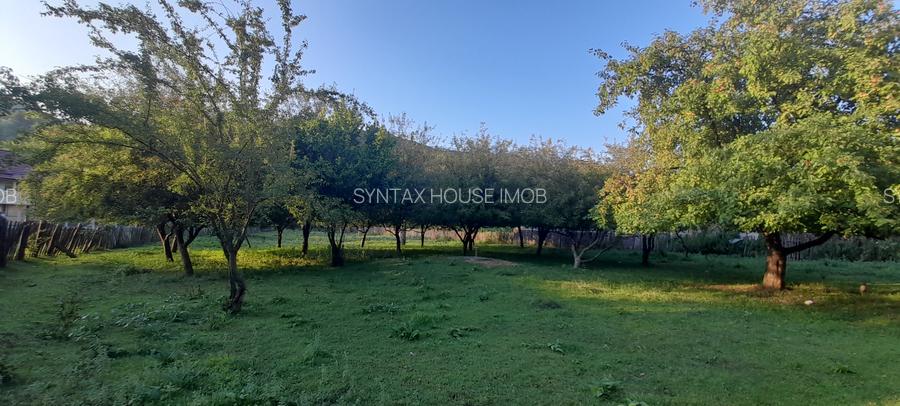 Puciosa Moreni Valea Lunga Sat Izvoru 20000mp teren de vanzare - 14