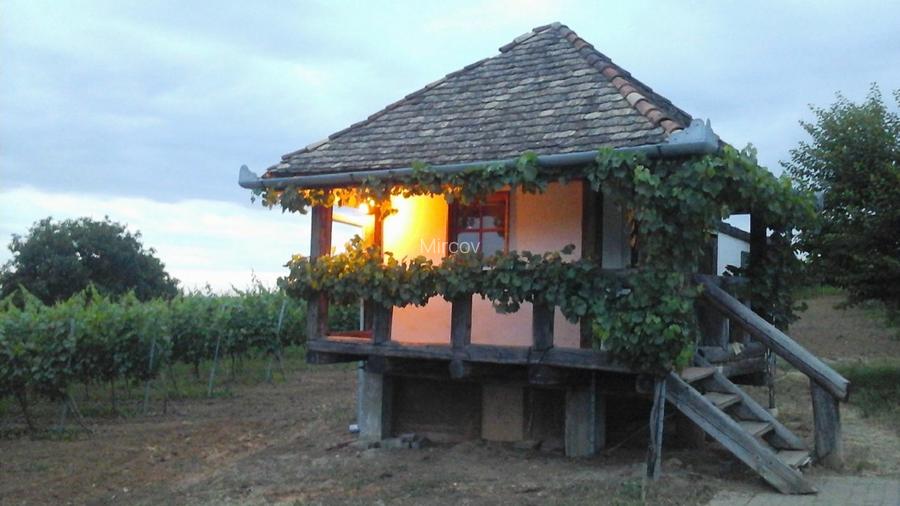 Crama / distilerie  boutique + 20000 sticle vin premium in DOC MINIS  - 10