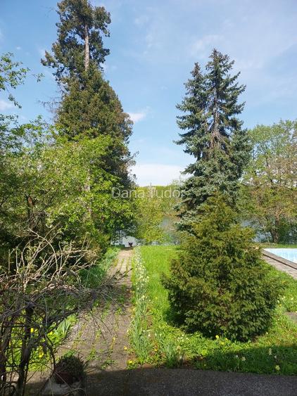 VILA 21 SNAGOV, 30 m DESCHIDERE LA LAC  - 4