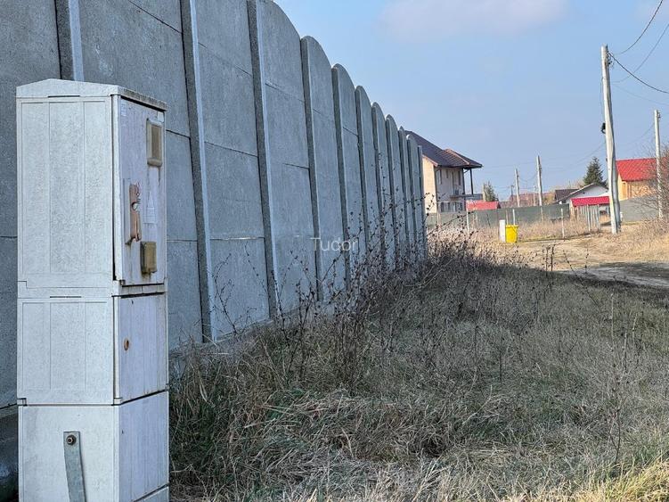 CORBEANCA, OSTRATU, TEREN 700 mp - 6