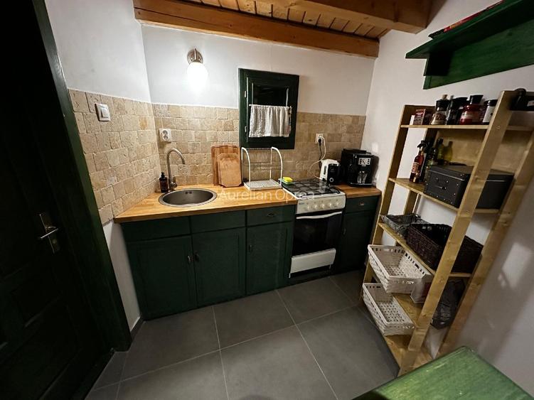 Casă de vacanță tip Chalet pe Valea Muresului  - 11