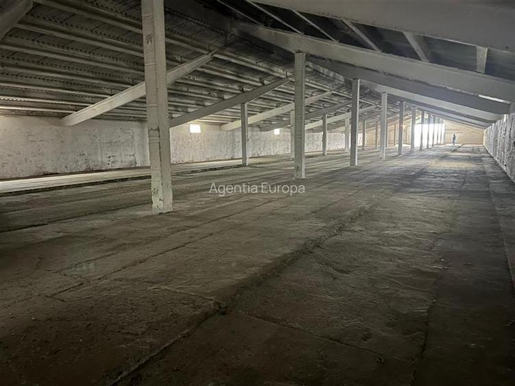 Hale de inchiriat localitatea M. Kogalniceanu Tulcea - 7