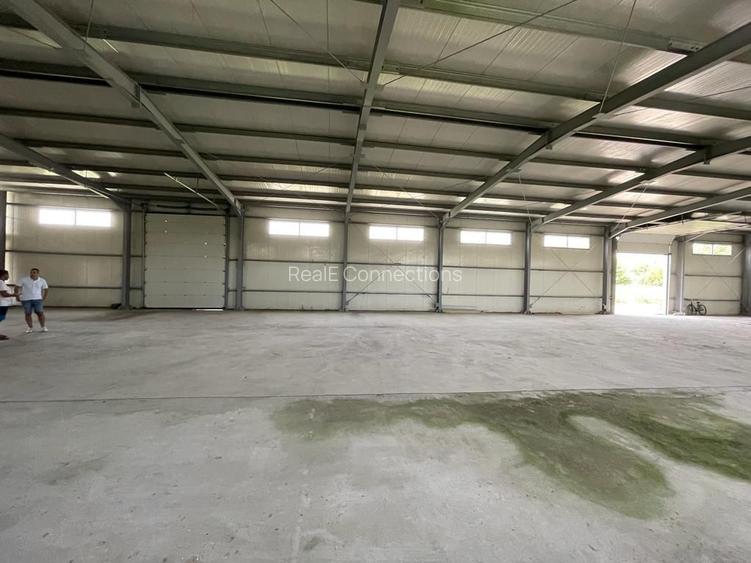 Hală industrială cu vizibilitate directă A2 | acces facil autostradă | Fundulea - 5