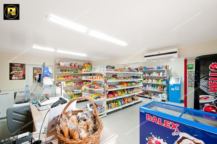 Vanzare Proprietate mixta si Afacere la cheie in Sat Costi, teren 400 mp - 13