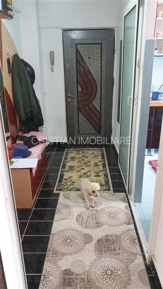 3 camere, etaj 1, SPATIOS 80 mp, Buzaului ( B-uri) - 10